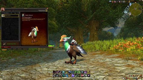 duck mount wow|where is my duck mount.